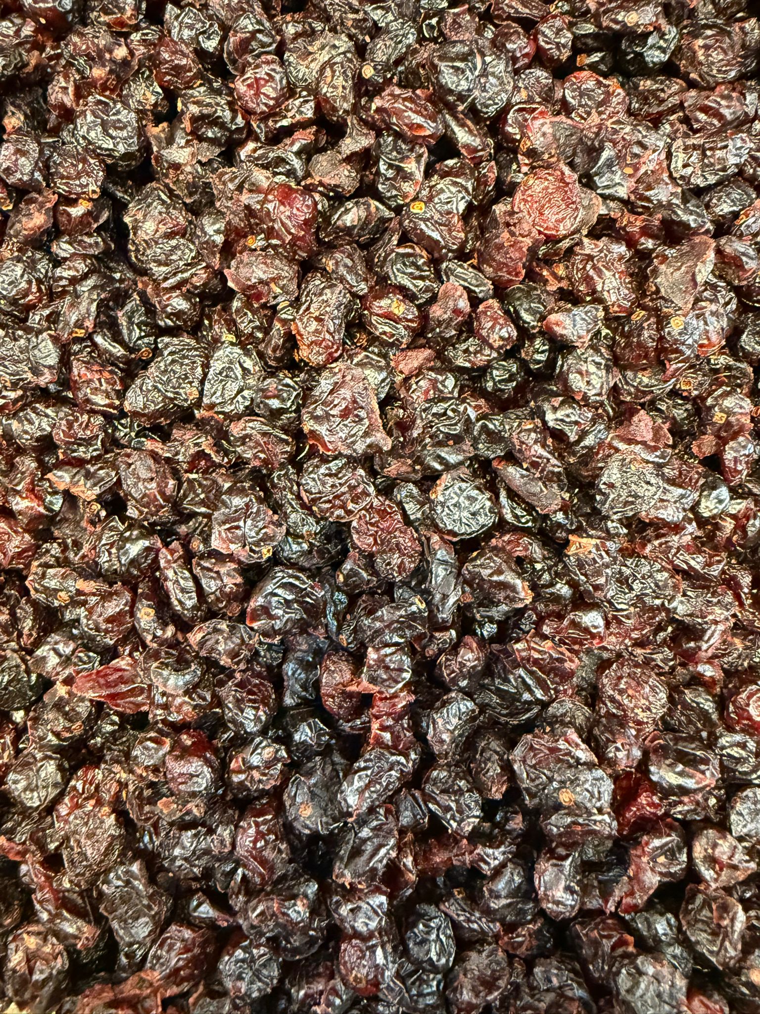 Yaban Mersini Kurusu