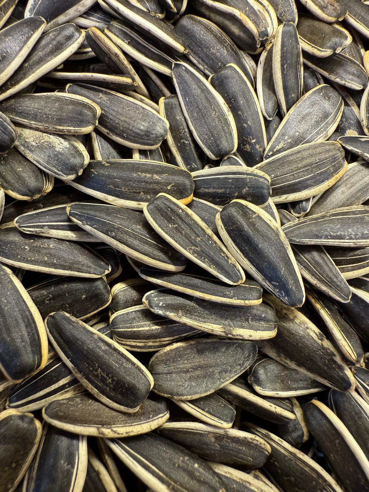 Yerli Tuzsuz Çekirdek