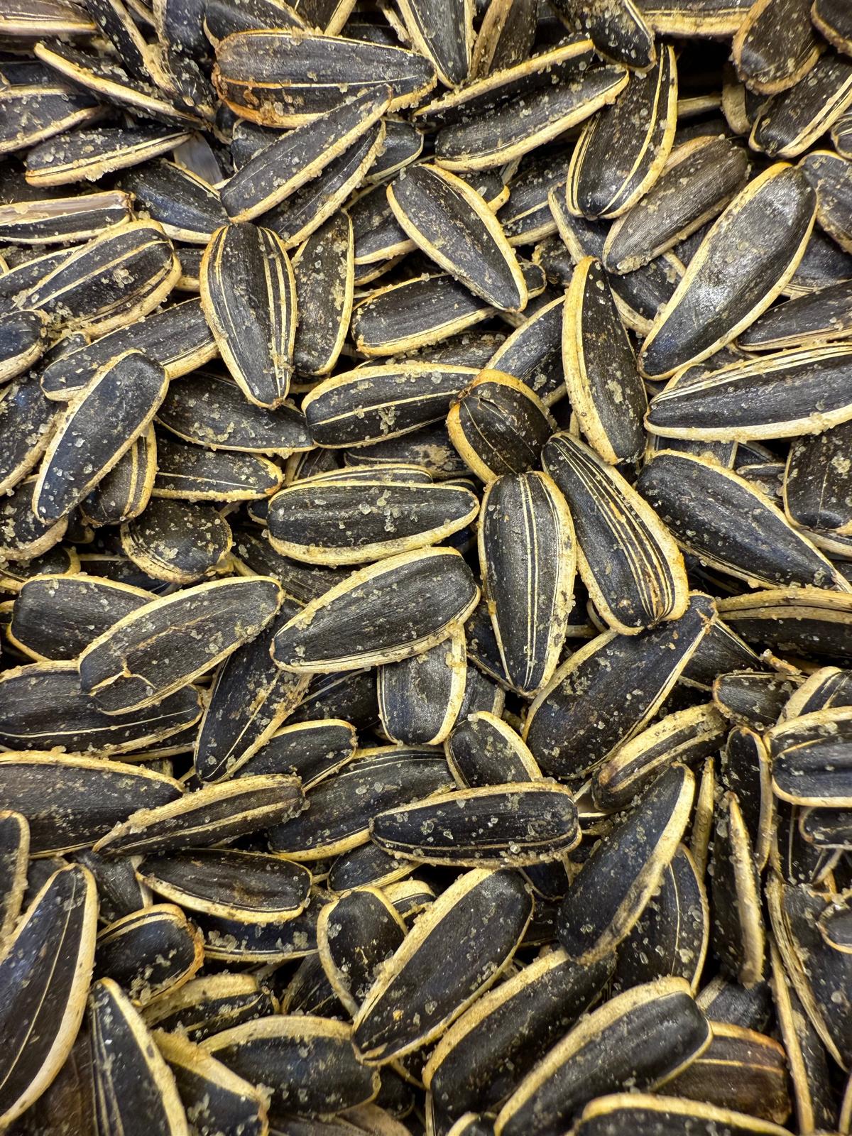 Yerli Tuzlu Çekirdek